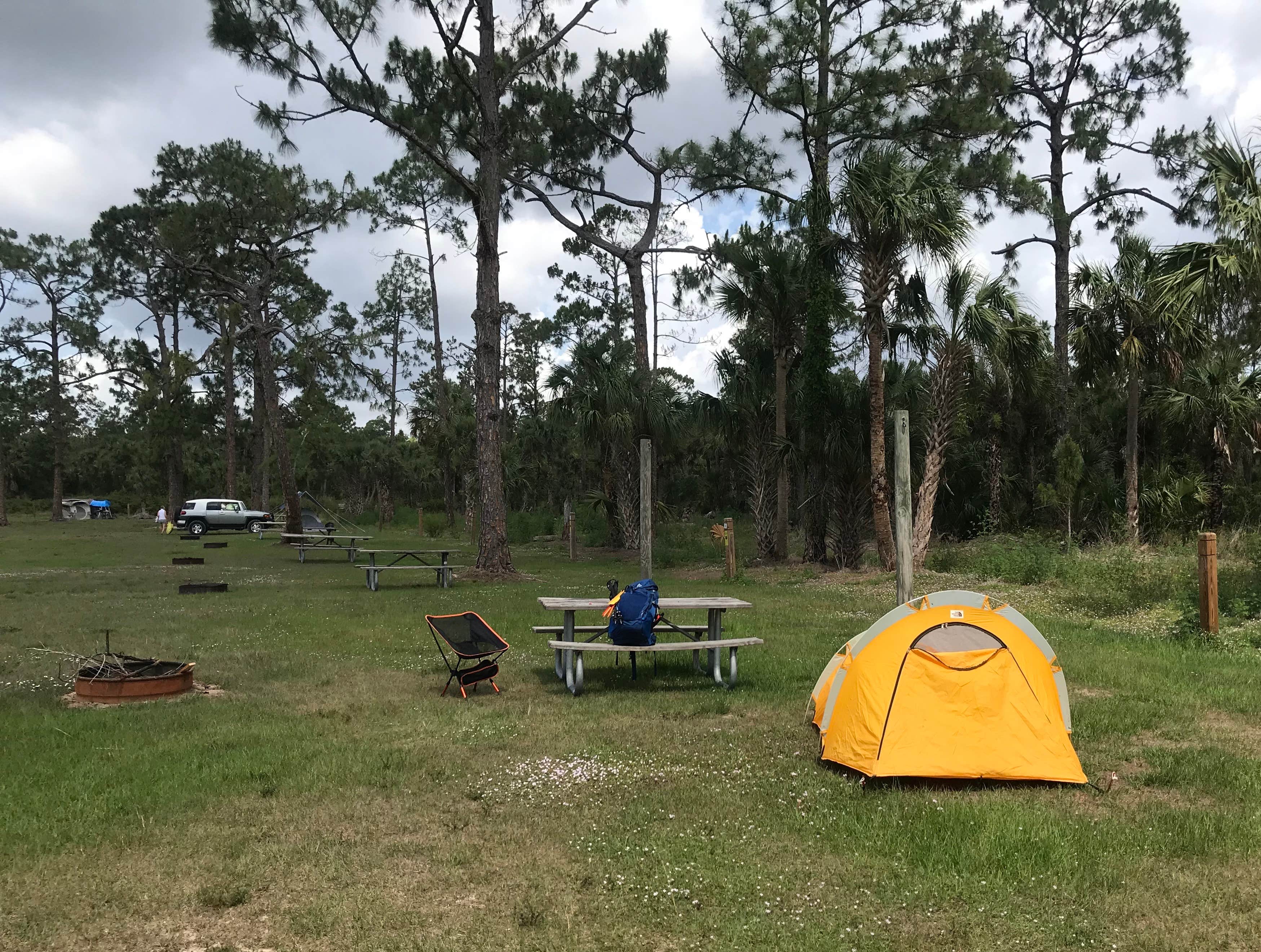 Dave V.'s photo at Horseshoe Primitive Campground in Picayune Strand State Forest near Bonita Springs, FL