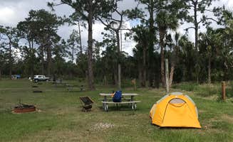 Dave V.'s photo at Horseshoe Primitive Campground in Picayune Strand State Forest near Naples, FL