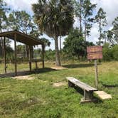 Review photo of Horseshoe Primitive Campground in Picayune Strand State Forest by Dave V., May 28, 2019