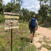 Review photo of Horseshoe Primitive Campground in Picayune Strand State Forest by Dave V., May 28, 2019