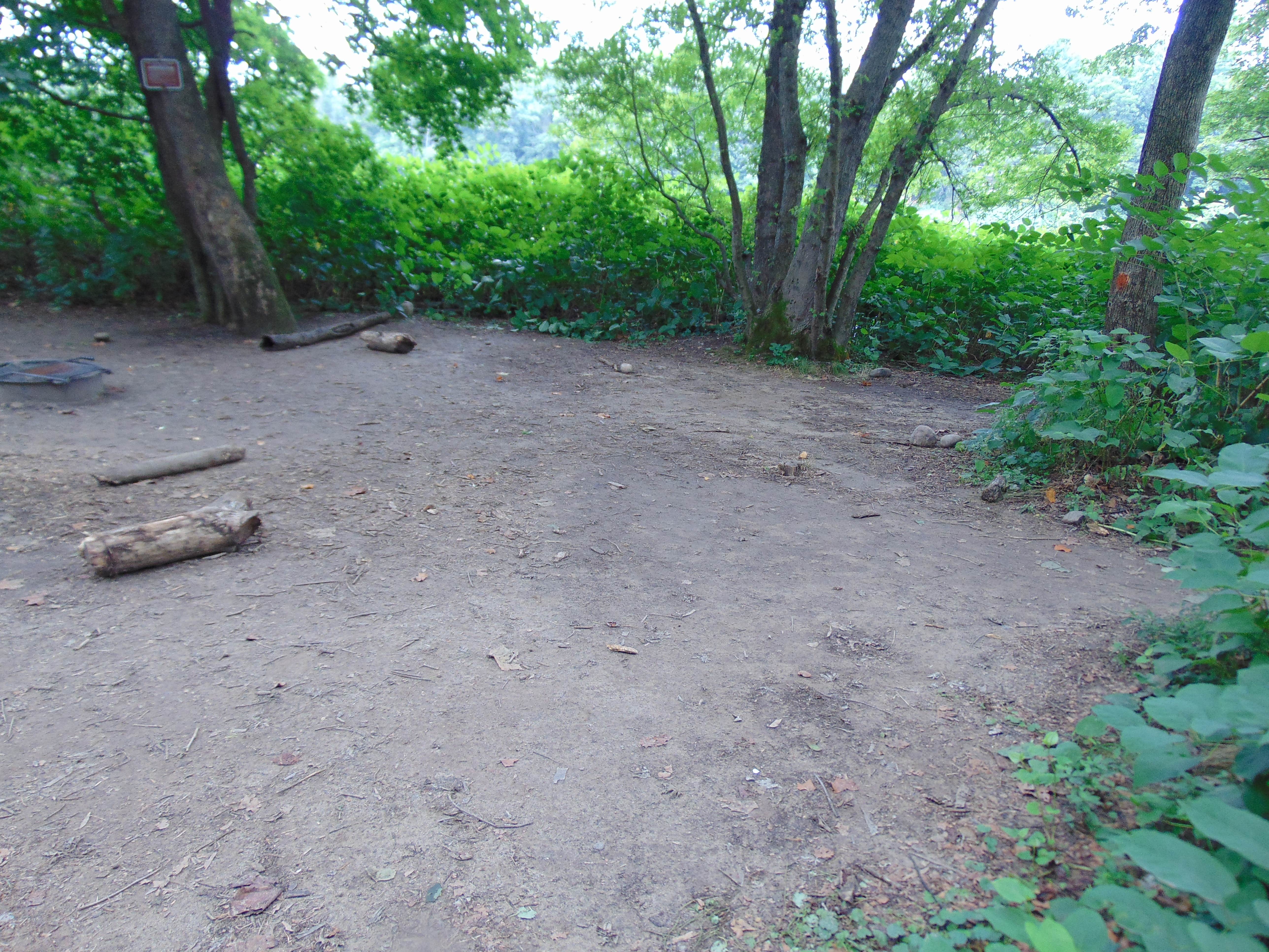 Camper submitted image from Mashipacong Island Campsite — Delaware Water Gap National Recreation Area - 4