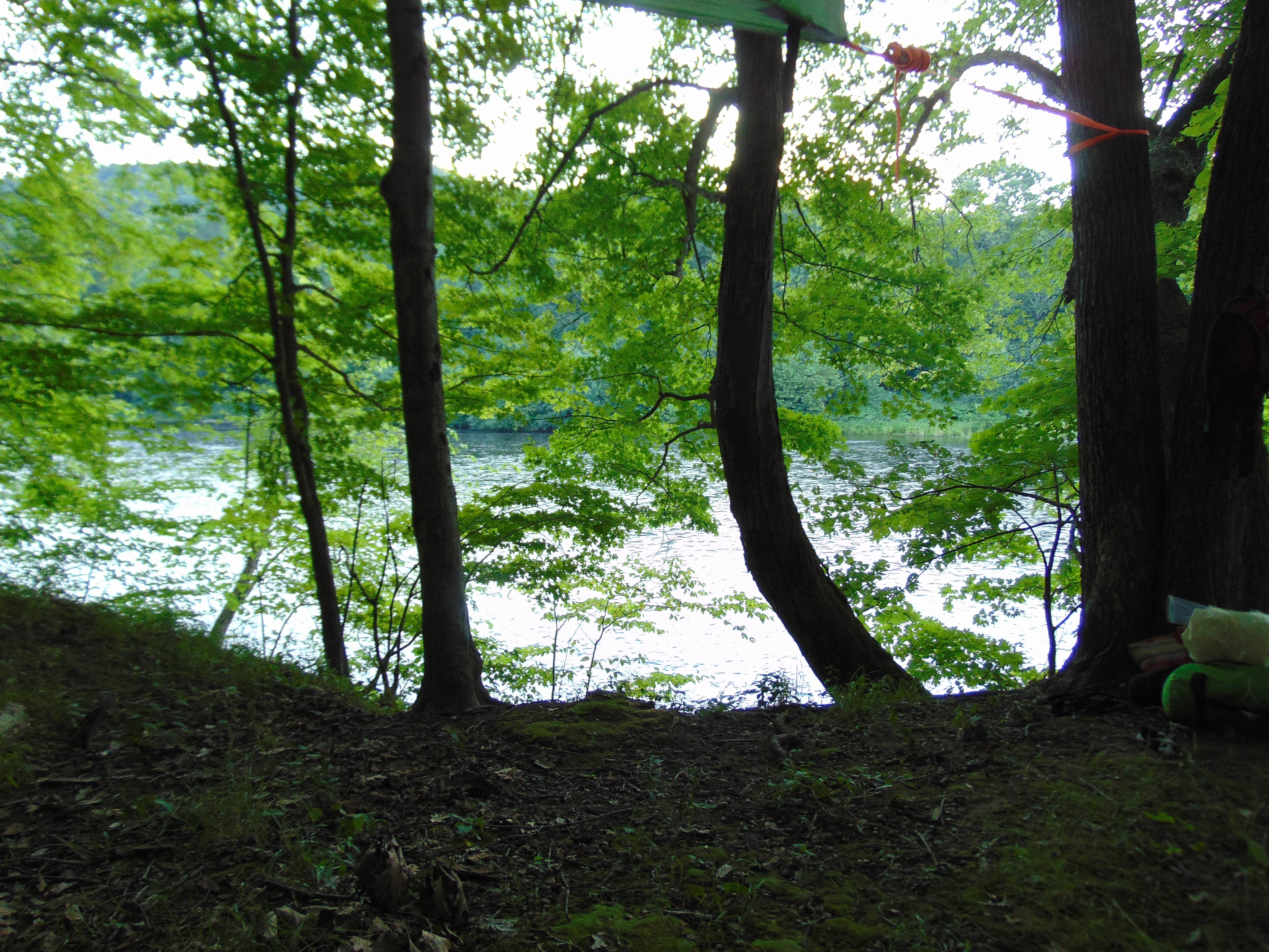 Camping near Neversink River Resort: Mashipacong Island Campsite — Delaware Water Gap National Recreation Area, Milford, New Jersey