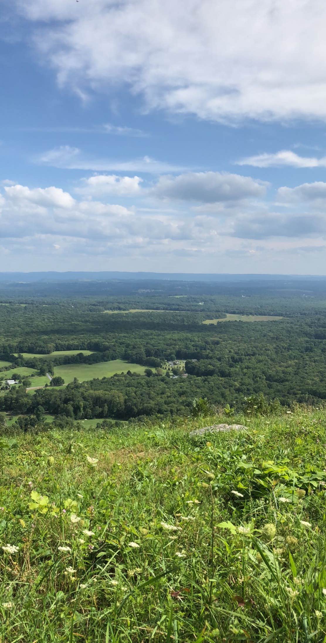 Camper submitted image from Kirkrige Shelter / Kittatinny Mountain — Appalachian National Scenic Trail - 2