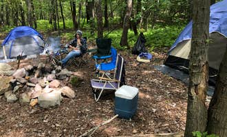 Camping near Camp Charles Campgrounds: Kirkrige Shelter / Kittatinny Mountain — Appalachian National Scenic Trail, Stroudsburg, Pennsylvania