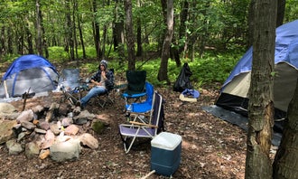 Camping near Camp Charles Campgrounds: Kirkrige Shelter / Kittatinny Mountain — Appalachian National Scenic Trail, Stroudsburg, Pennsylvania