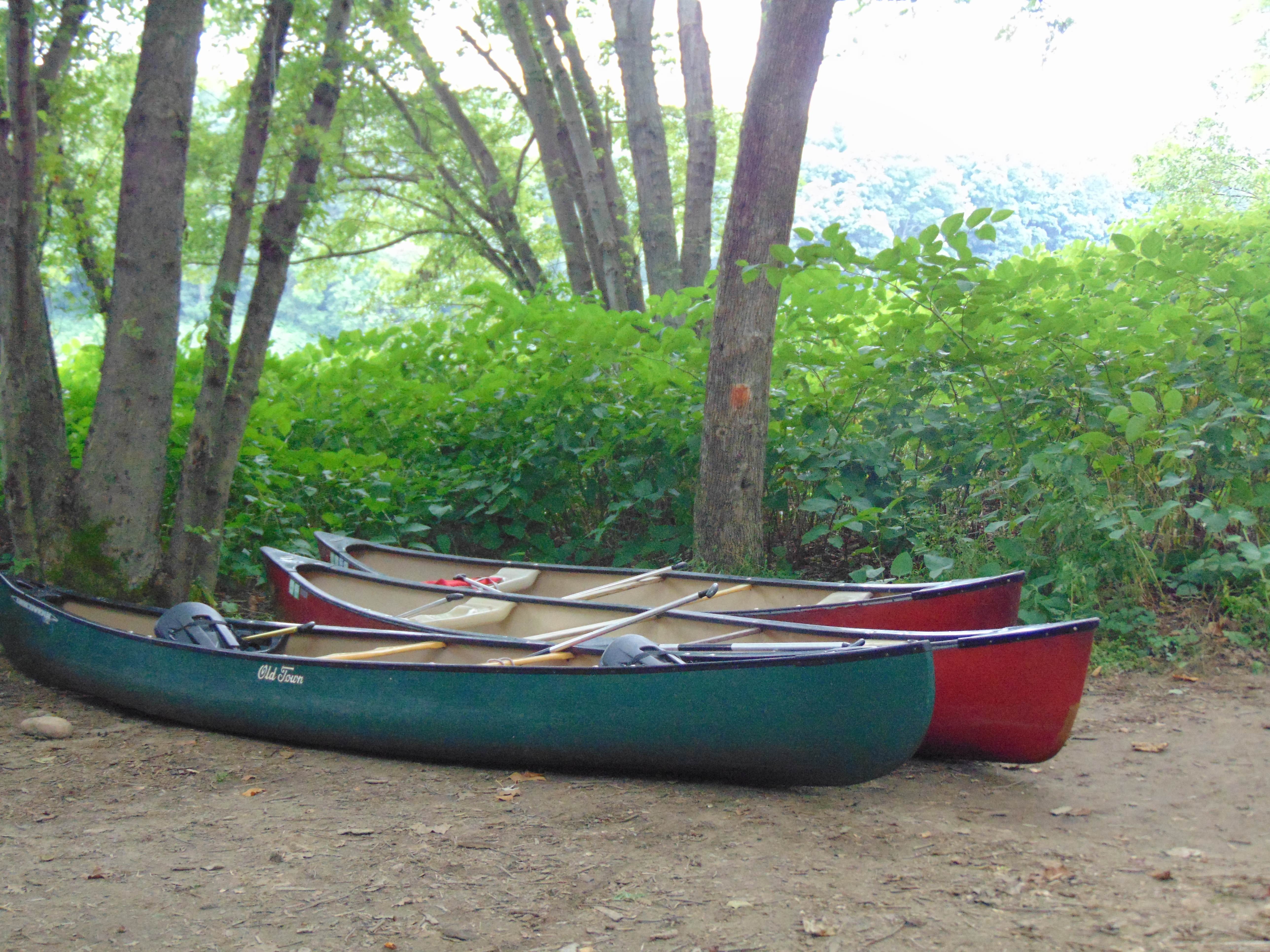 Camper submitted image from Mashipacong Island Campsite — Delaware Water Gap National Recreation Area - 3