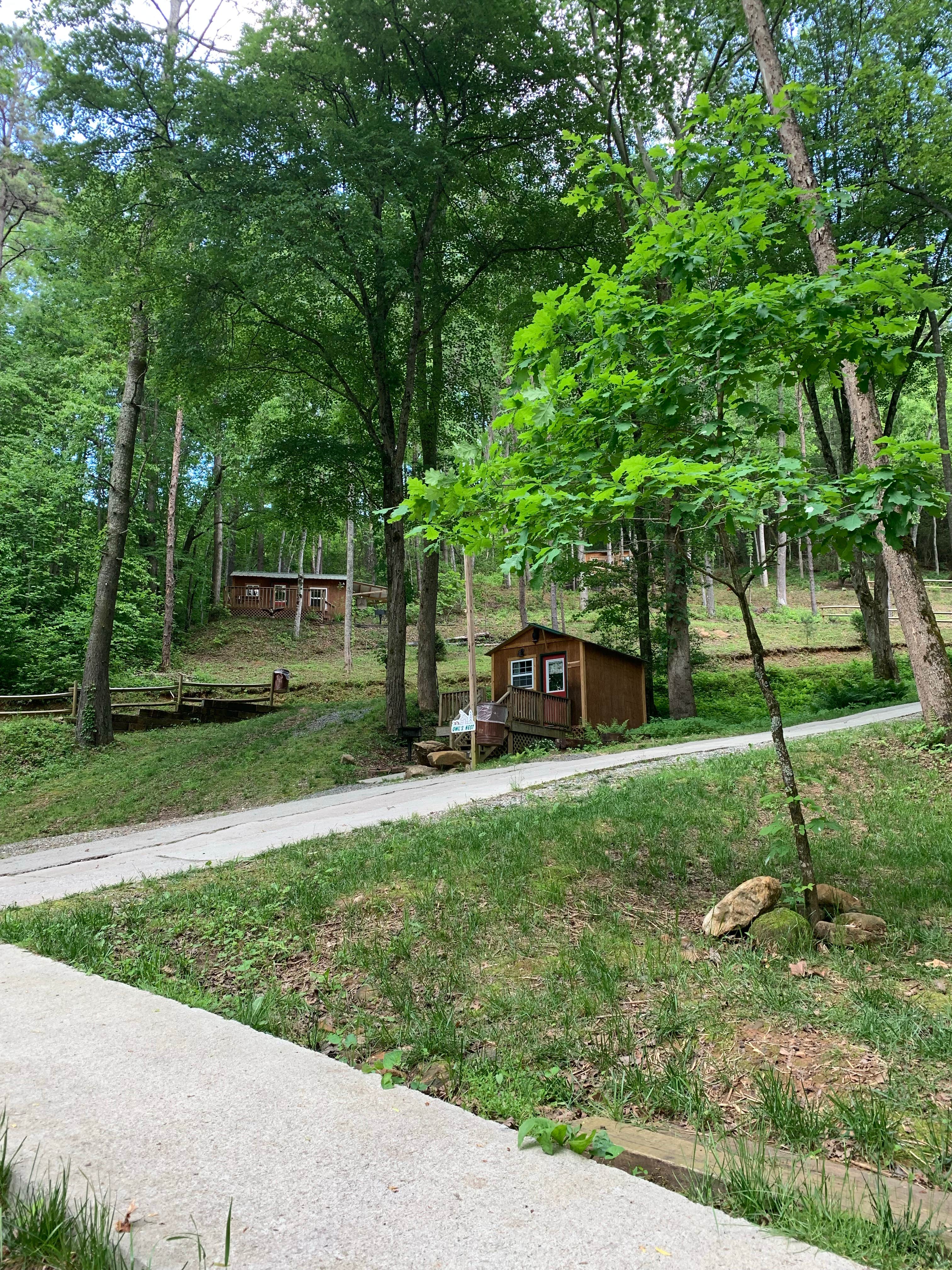 Camper-submitted photo at Simple Life Mountain Retreat & Campground near Murphy, NC