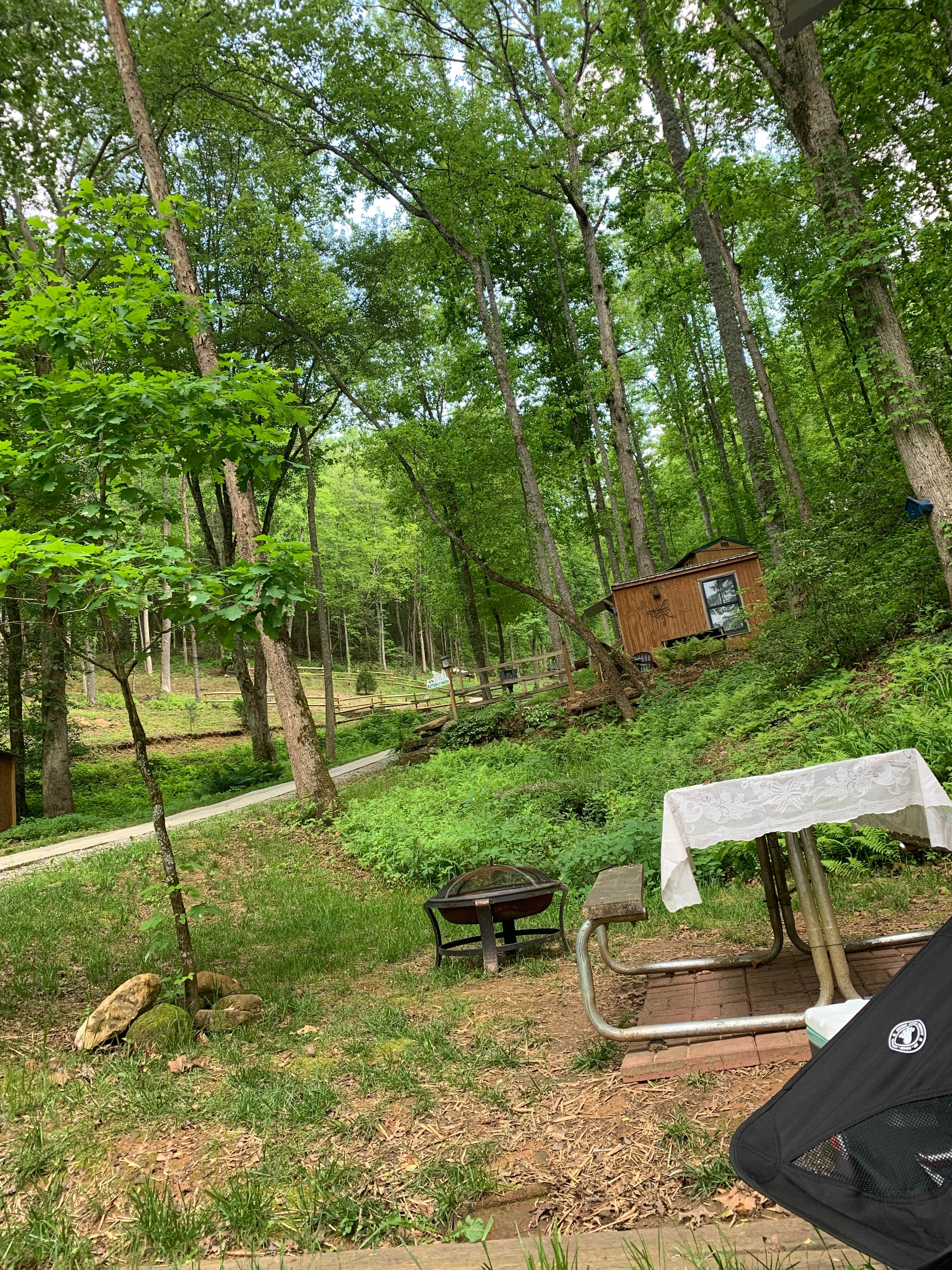 Camper-submitted photo at Simple Life Mountain Retreat & Campground near Murphy, NC