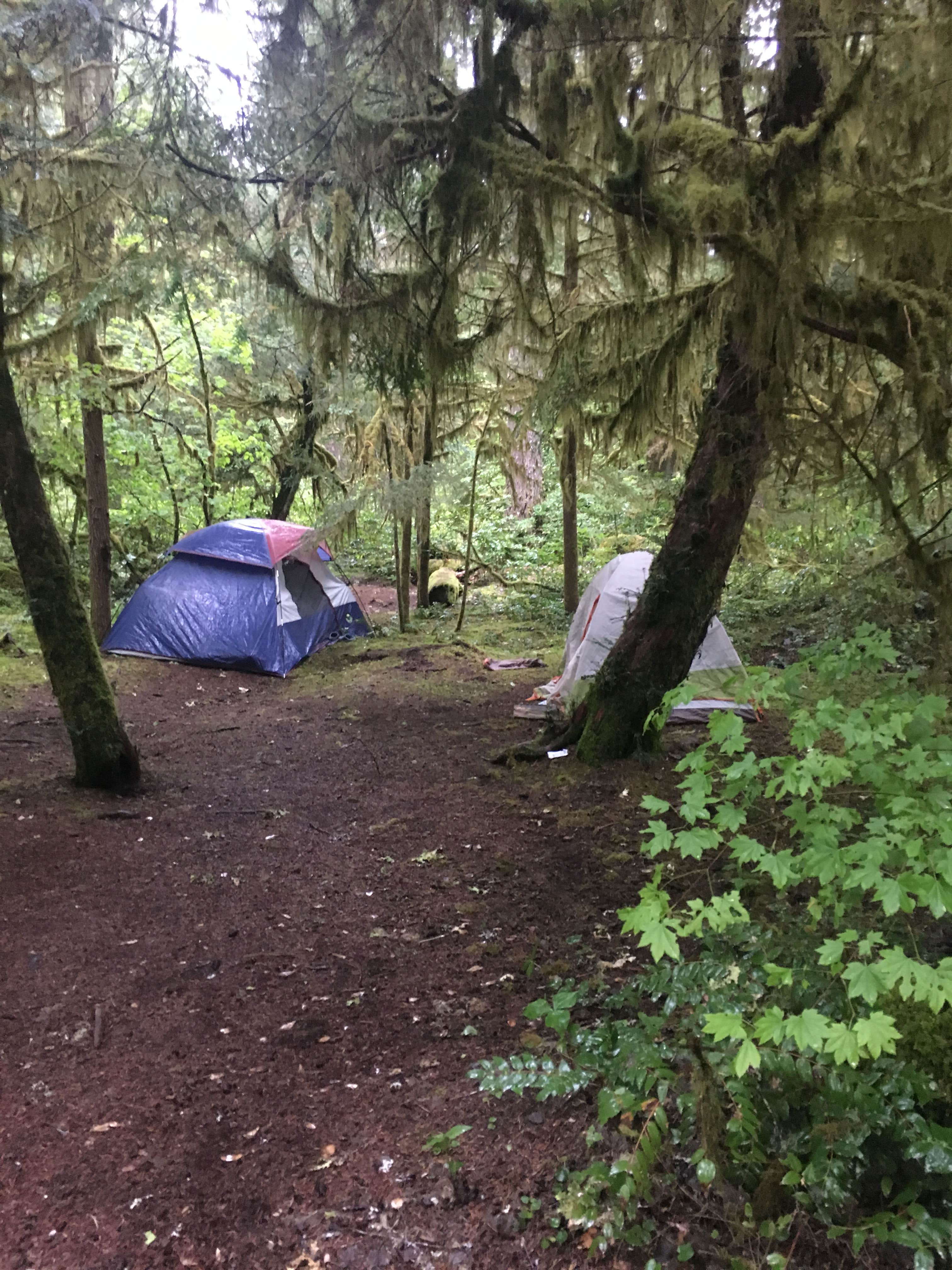 Camper submitted image from Humbug Campground - 5
