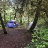 Review photo of Humbug Campground by Greenbean B., May 28, 2019