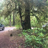 Review photo of Humbug Campground by Greenbean B., May 28, 2019