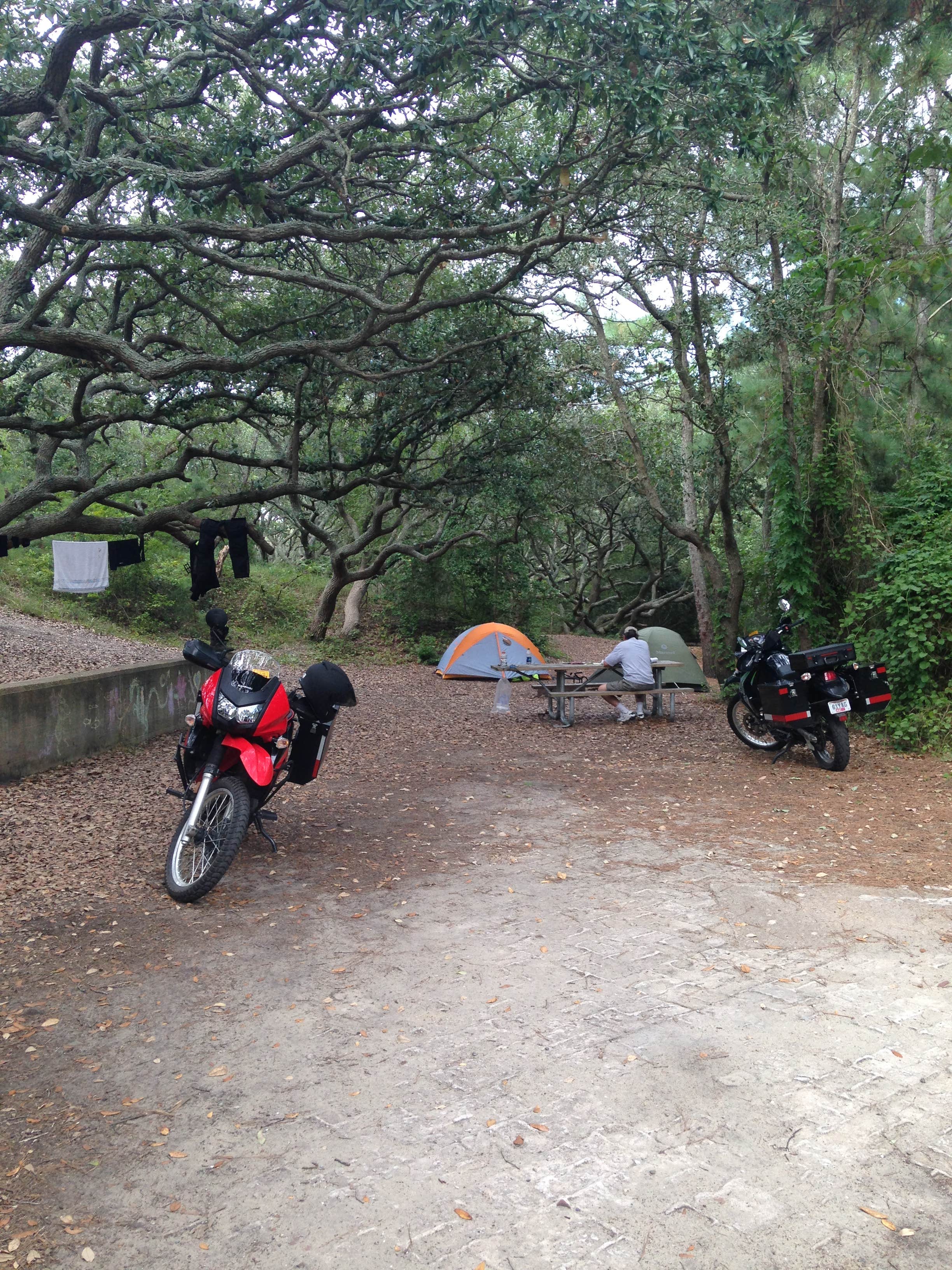 Tim M.'s photo at First Landing State Park Campground near Portsmouth, VA