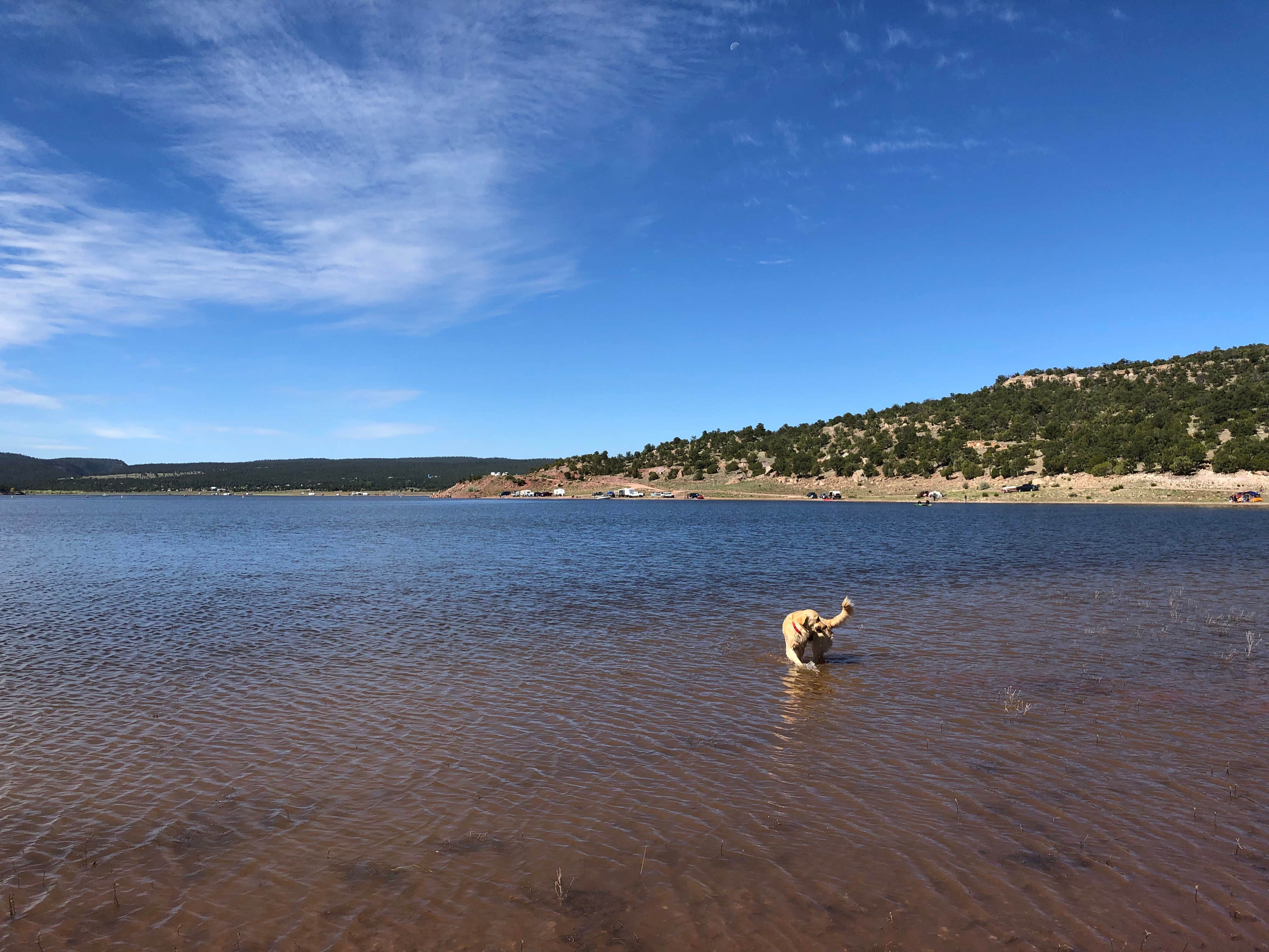 Austin C.'s photo of camping with pets at Bluewater Lake State Park Campground near Gallup, NM
