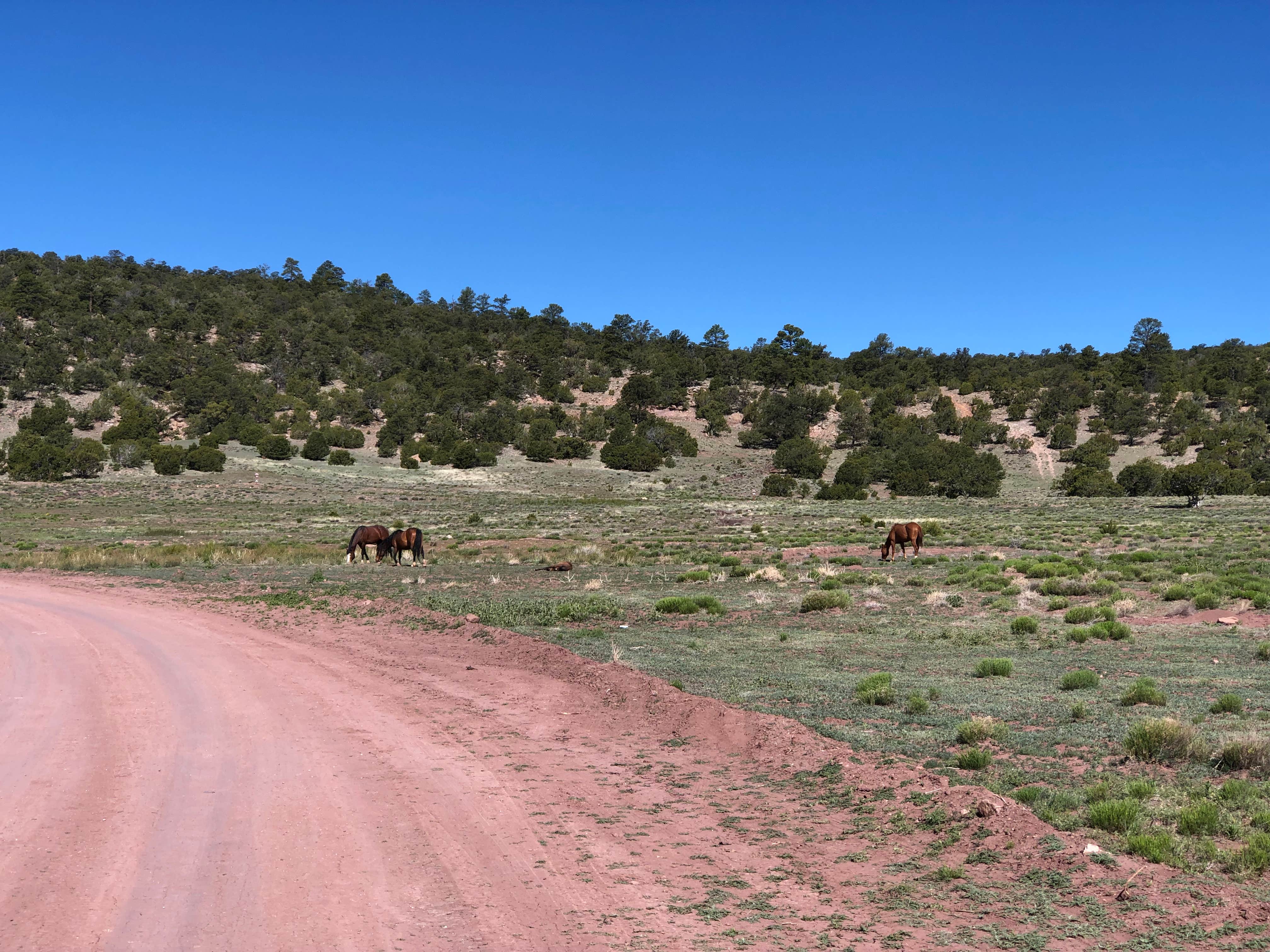 Camper-submitted photo at Bluewater Lake State Park Campground near Prewitt, NM