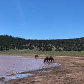 Review photo of Bluewater Lake State Park Campground by Austin C., May 28, 2019