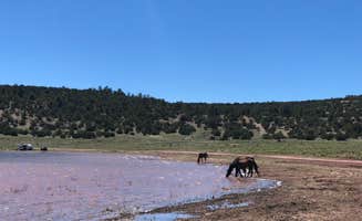 Austin C.'s photo of camping with a horse at Bluewater Lake State Park Campground near Jamestown, NM