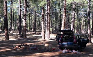 Austin C.'s photo at FR 222 Dispersed near Bellemont, AZ