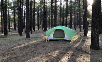 Austin C.'s photo of tent camping at FR 222 Dispersed near Cottonwood, AZ
