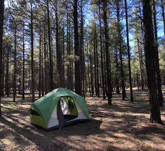 Camper-submitted photo from Pine Flat Campground West