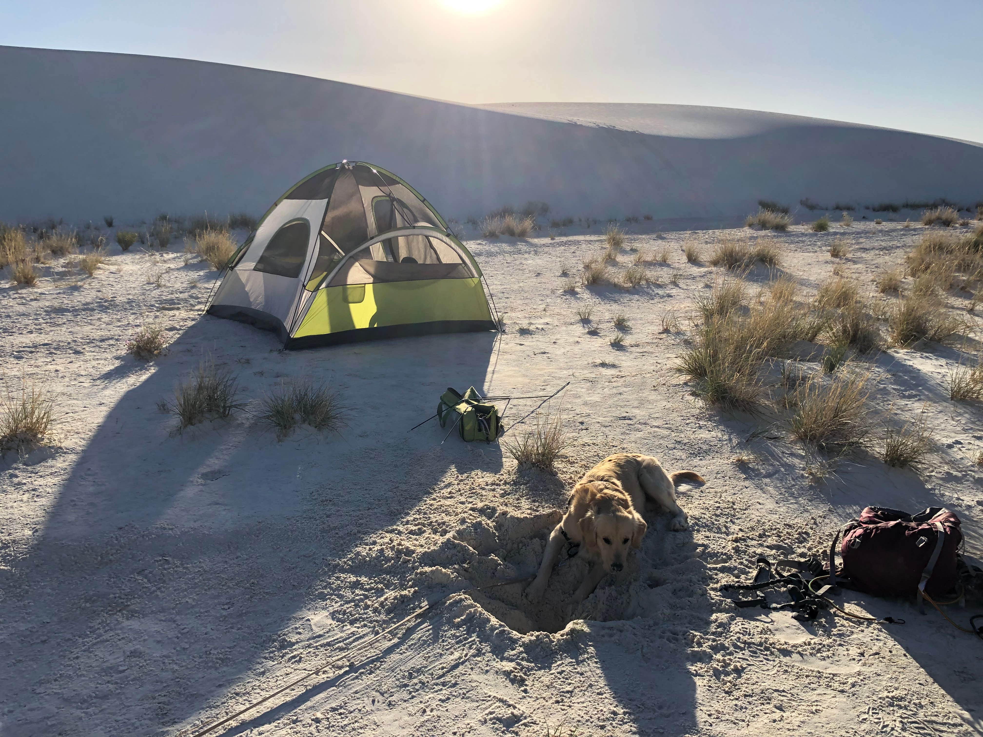 Austin C.'s photo at Backcountry Primitive Sites — White Sands National Park near Holloman Air Force Base, NM
