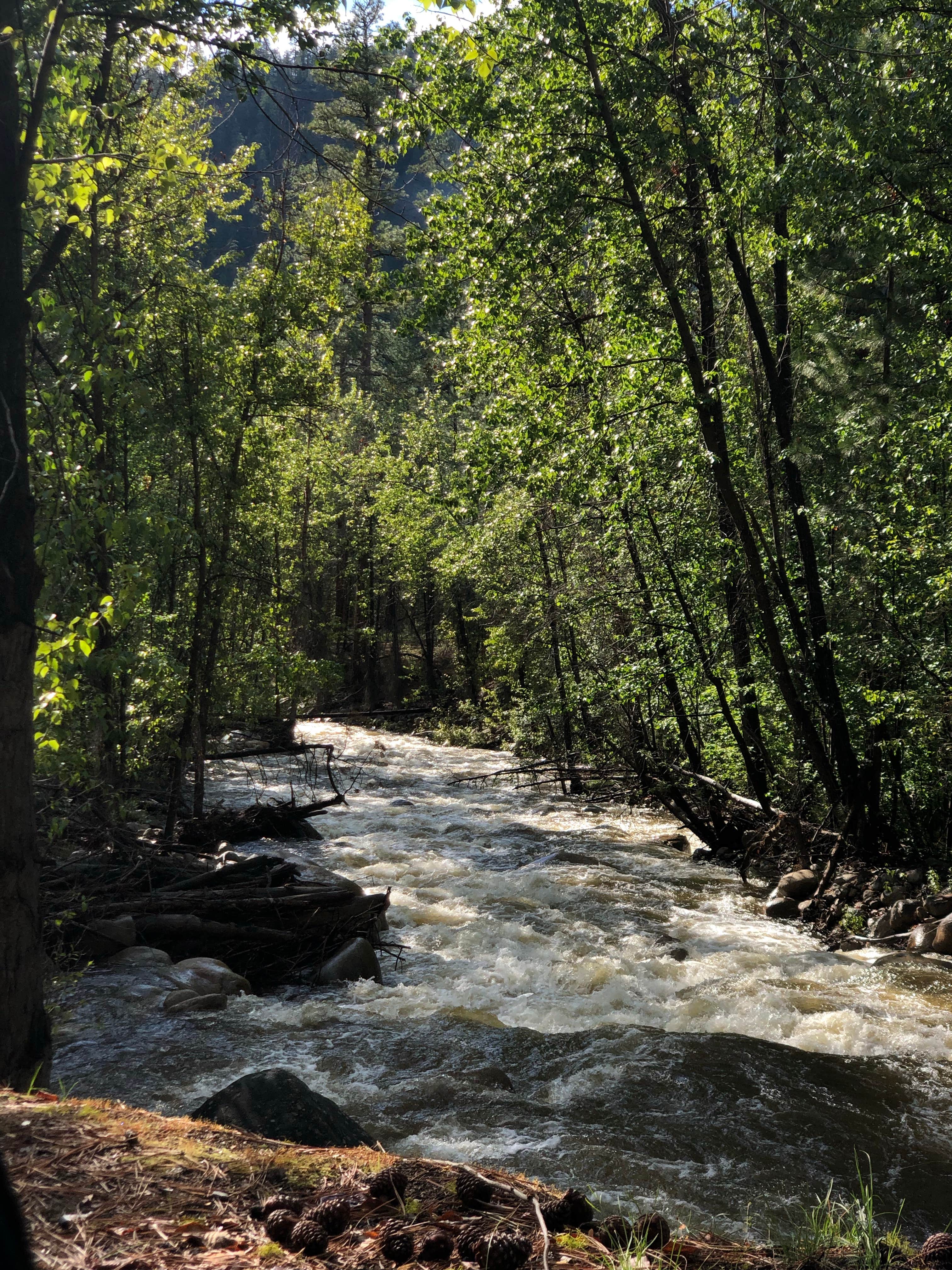 Camper submitted image from Boulder Creek - 4