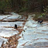 Review photo of Beavers Bend State Park Campground by Shelly S., July 6, 2016