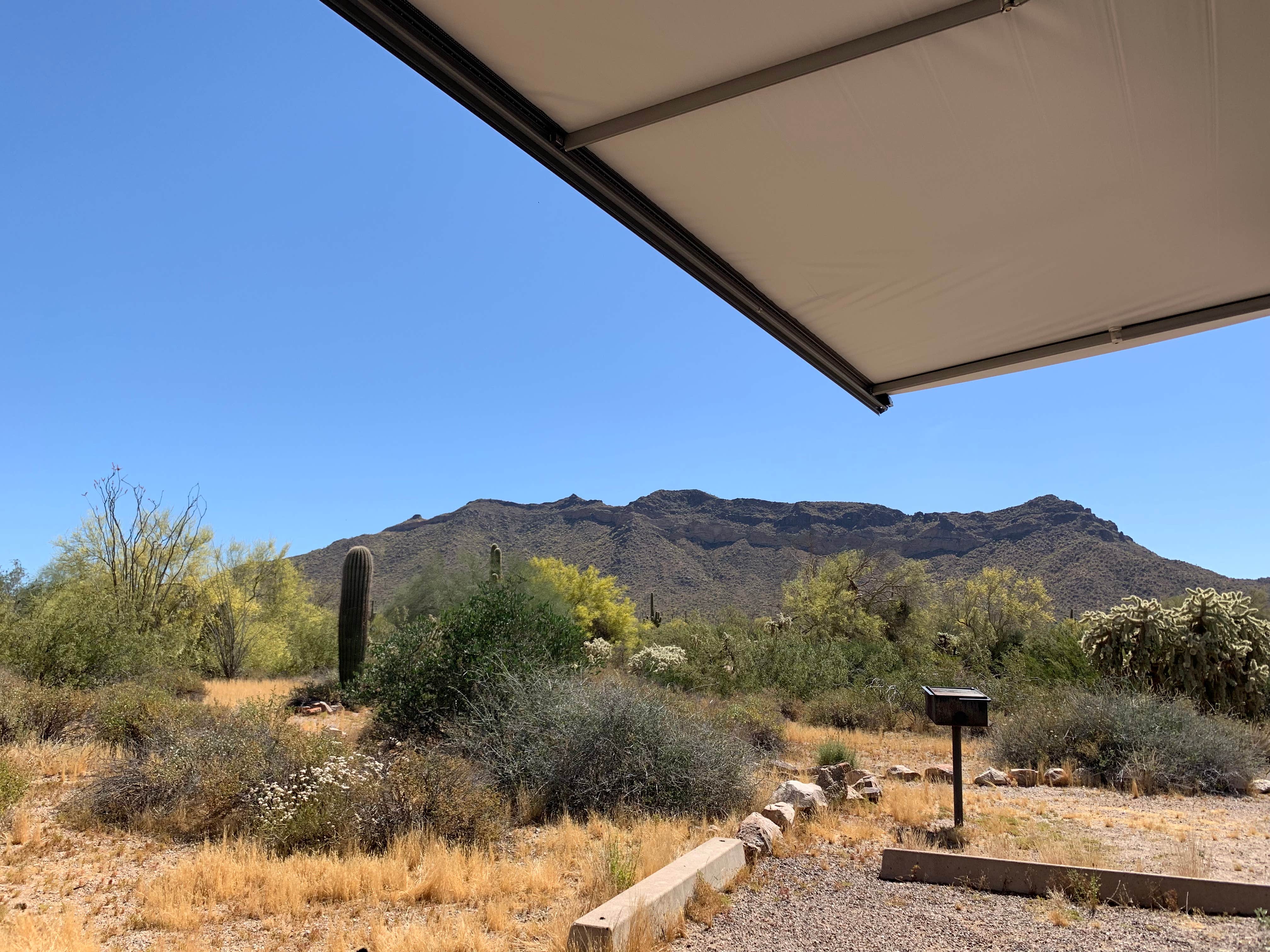 Camper submitted image from Usery Mountain Regional Park - 3