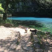 Review photo of Blue Spring Backcountry Camping — Ozark National Scenic Riverway by Shelly S., July 25, 2016