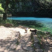 Review photo of Blue Spring Backcountry Camping — Ozark National Scenic Riverway by Shelly S., July 25, 2016
