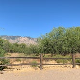Review photo of Catalina State Park Campground by Elise O., May 28, 2019