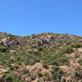 Review photo of Catalina State Park Campground by Elise O., May 28, 2019