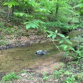 Review photo of Kanawha State Forest by Shelly S., June 27, 2016