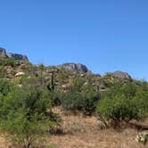 Review photo of Catalina State Park by Elise O., May 28, 2019