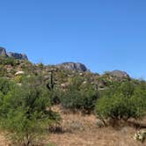 Review photo of Catalina State Park Campground by Elise O., May 28, 2019