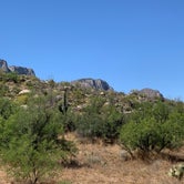 Review photo of Catalina State Park Campground by Elise O., May 28, 2019