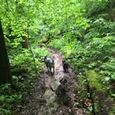 Review photo of Kanawha State Forest by Shelly S., June 27, 2016