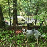 Review photo of Kanawha State Forest by Shelly S., June 27, 2016