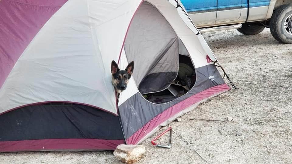 Matt B.'s photo of a dispersed camping area at Lower Basin Campground near Ibapah, UT