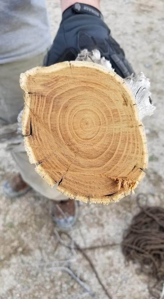 Camper-submitted photo at Lower Basin Campground near Ibapah, UT