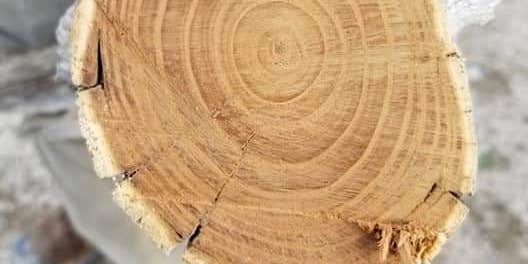 Camper submitted image from Lower Basin Campground