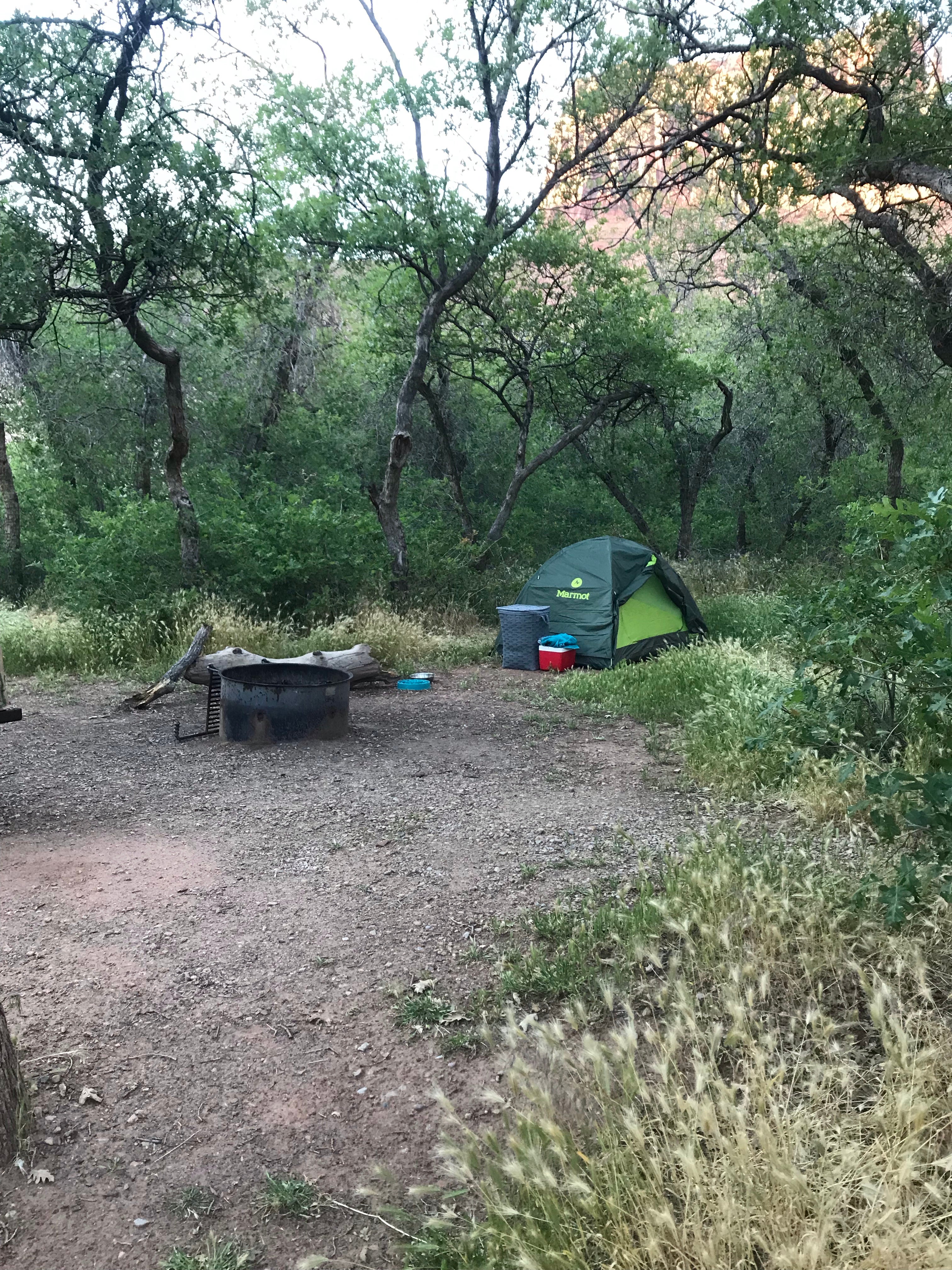 Camper submitted image from Hal Canyon Campground - 3