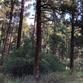 Review photo of Fenton Lake State Park — Fenton Lake Fishing Area (and Dam) by Clayton  K., May 28, 2019