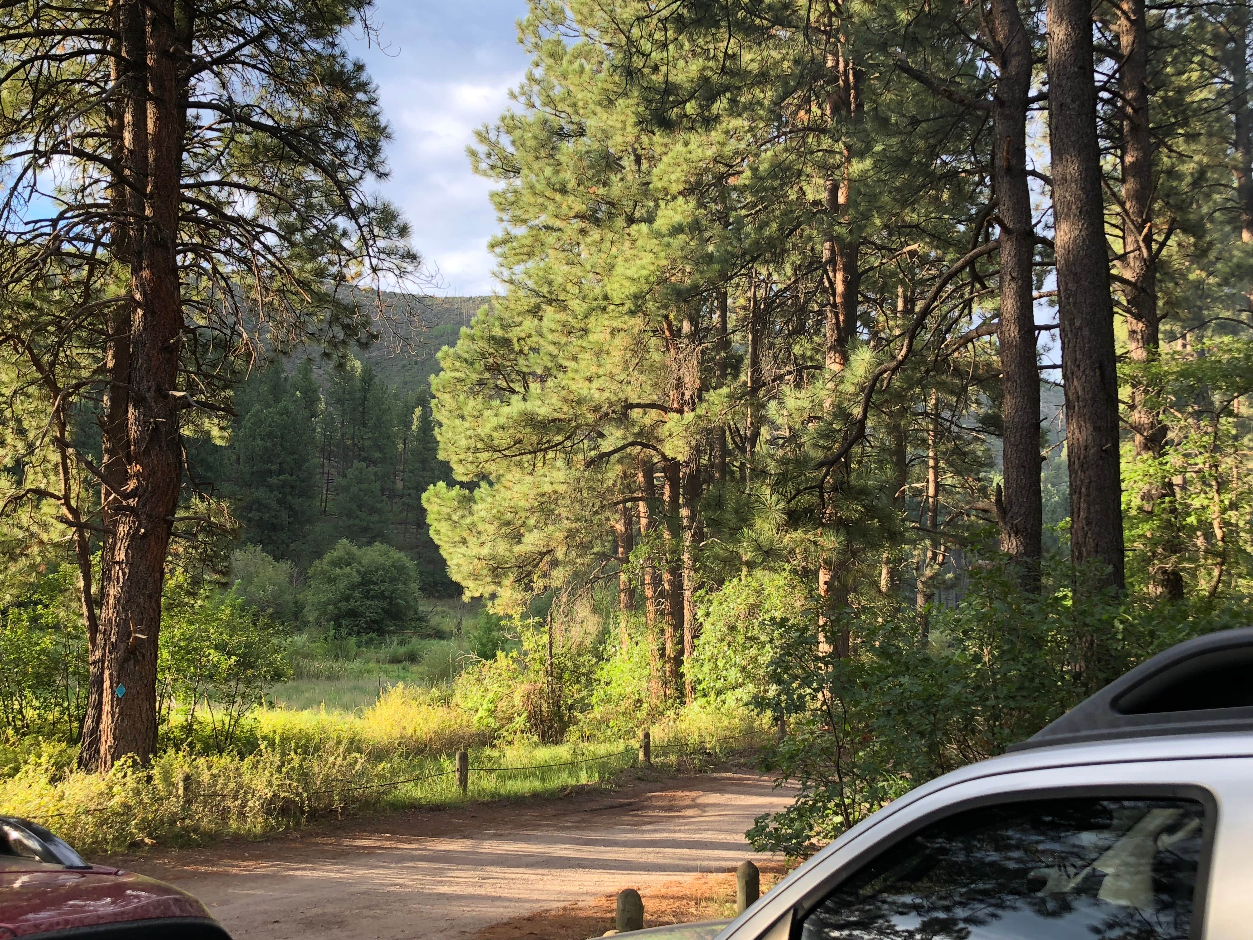 Camper submitted image from Fenton Lake State Park Campground - 3