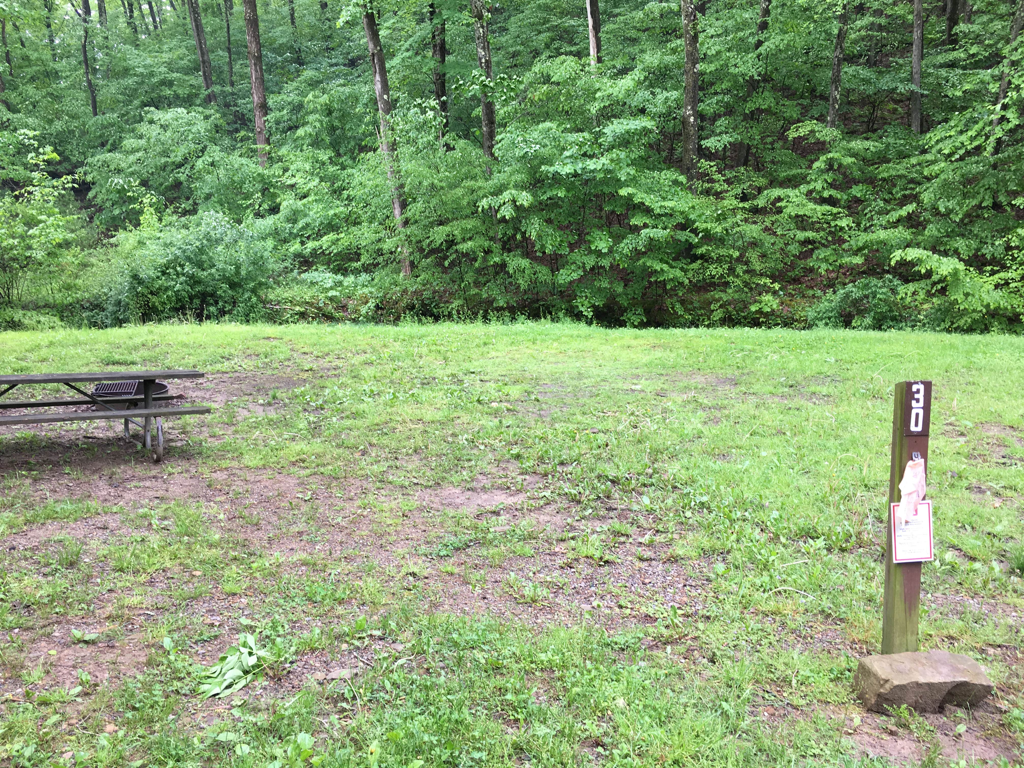 Camper submitted image from Outflow Recreation Area (PA) - 3