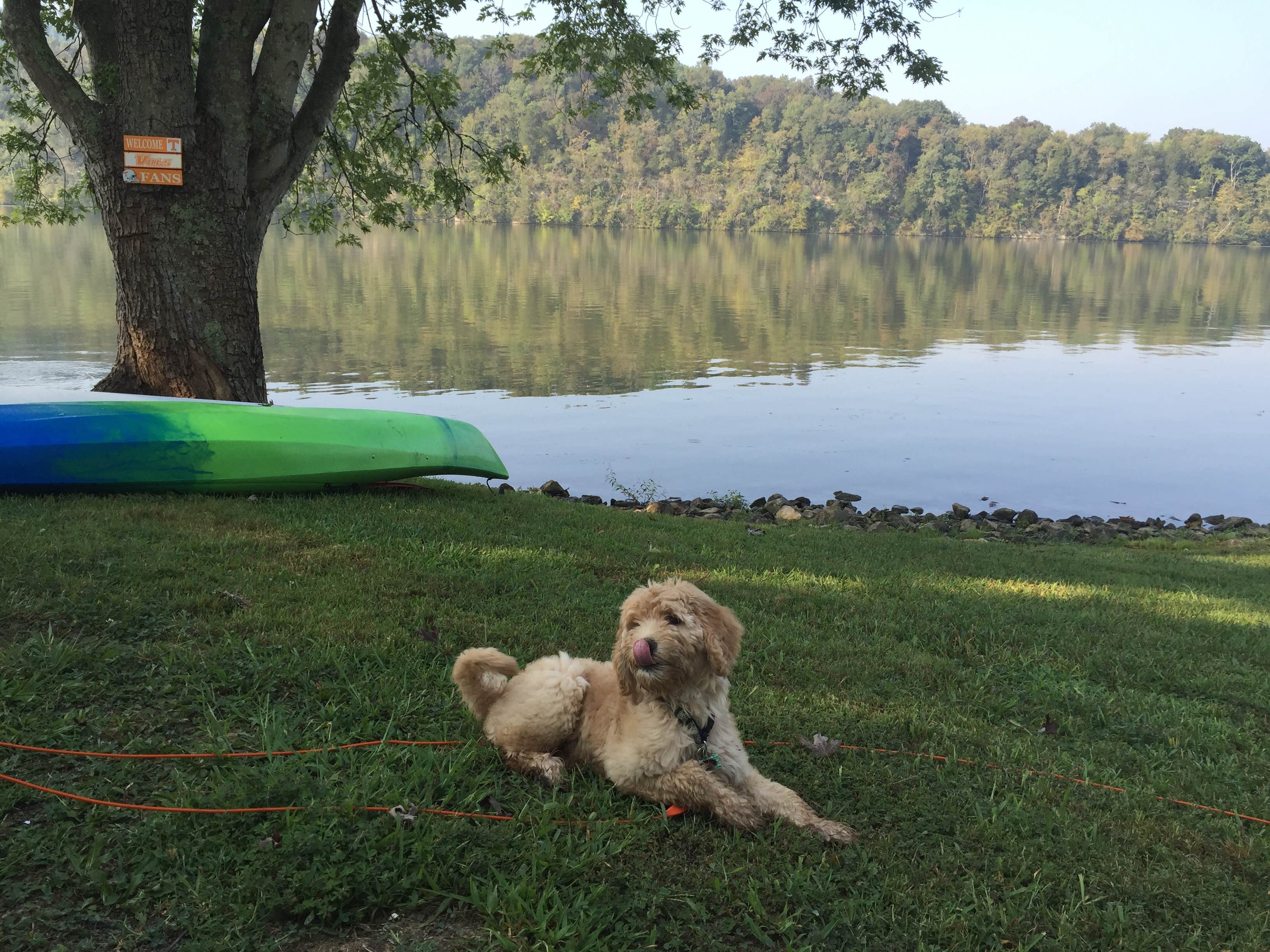 Carter W.'s photo of camping with pets at Salt Lick Creek near Livingston, TN