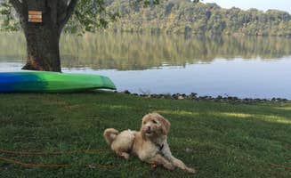 Carter W.'s photo of camping with pets at Salt Lick Creek near Granville, TN