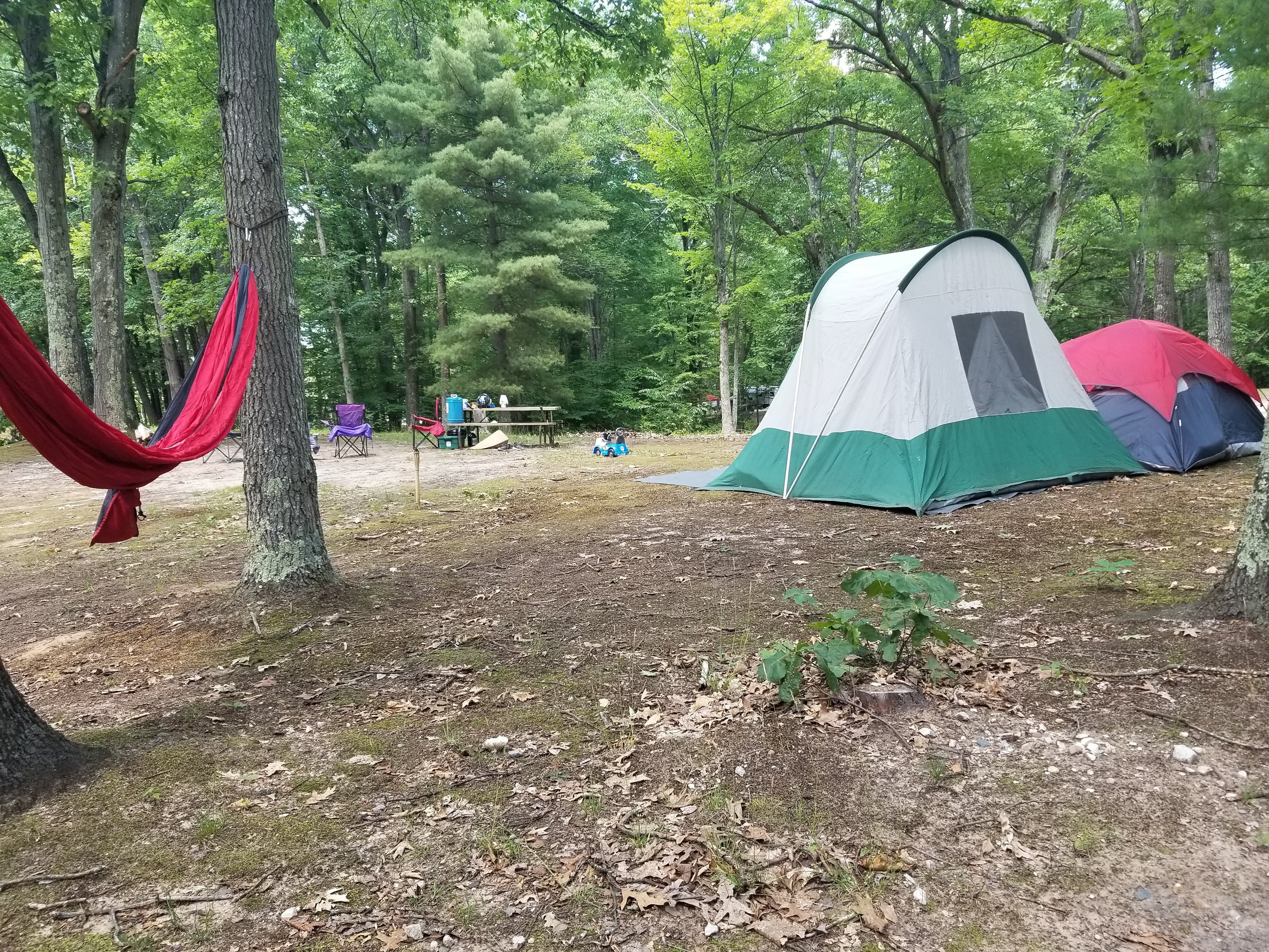 Camper submitted image from Ludington East KOA - 1