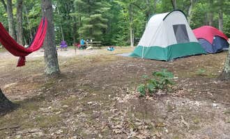 Camping near Sulak Campground: Ludington East KOA, Baldwin, Michigan