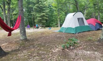 Camping near Manistee National Forest Whelan Lake Semi-Primitive Nonmotorized Area: Ludington East KOA, Baldwin, Michigan
