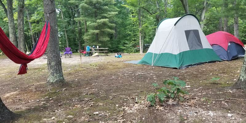 Camper submitted image from Ludington East KOA